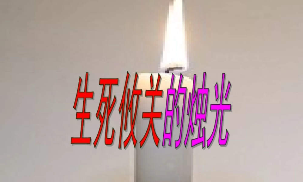 秋五年级语文上册《生死攸关的烛光》课件3 北师大版-北师大版小学五年级上册语文课件