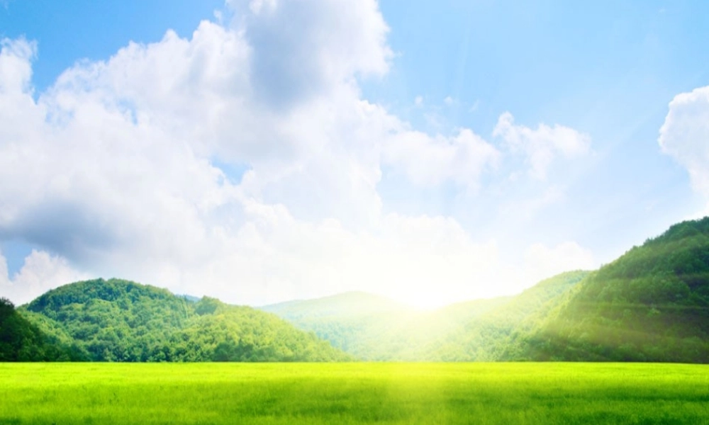 秋六年级科学上册 2.4《我的“阳光小屋”》课件3 大象版-大象版小学六年级上册自然科学课件