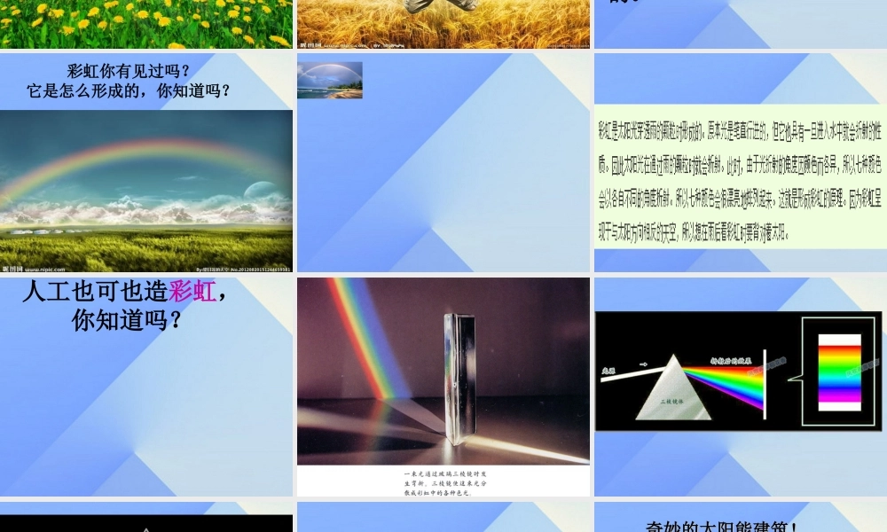 秋六年级科学上册 2.4《我的“阳光小屋”》课件3 大象版-大象版小学六年级上册自然科学课件