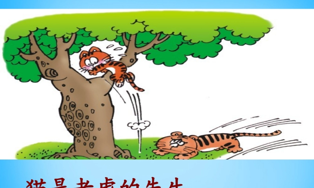 秋三年级语文上册《猫是老虎的先生》课件1 沪教版-沪教版小学三年级上册语文课件