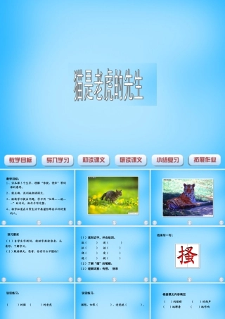 秋三年级语文上册《猫是老虎的先生》课件2 沪教版-沪教版小学三年级上册语文课件