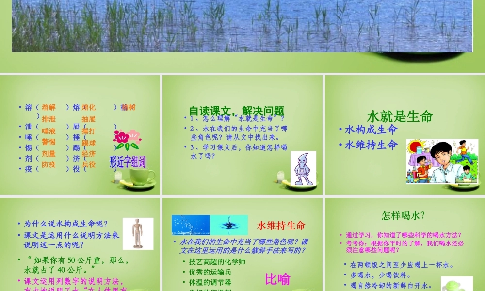 秋五年级语文上册《水就是生命》课件 北师大版-北师大版小学五年级上册语文课件