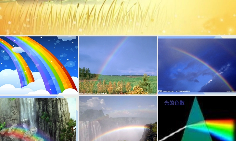 秋六年级科学上册 2.4《我的“阳光小屋”》课件4 大象版-大象版小学六年级上册自然科学课件