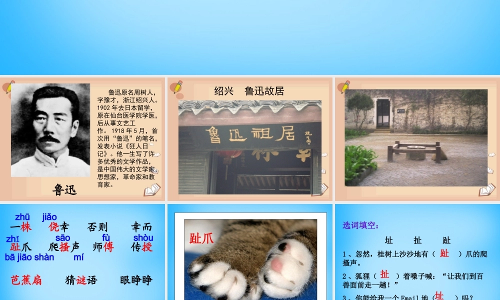 秋三年级语文上册《猫是老虎的先生》课件3 沪教版-沪教版小学三年级上册语文课件