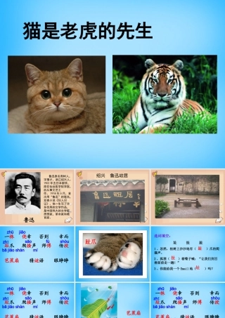 秋三年级语文上册《猫是老虎的先生》课件3 沪教版-沪教版小学三年级上册语文课件