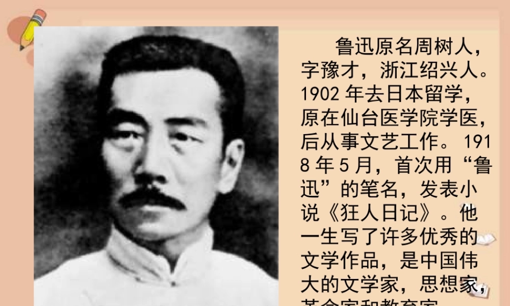 秋三年级语文上册《猫是老虎的先生》课件4 沪教版-沪教版小学三年级上册语文课件