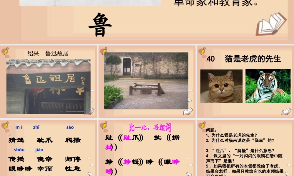 秋三年级语文上册《猫是老虎的先生》课件4 沪教版-沪教版小学三年级上册语文课件