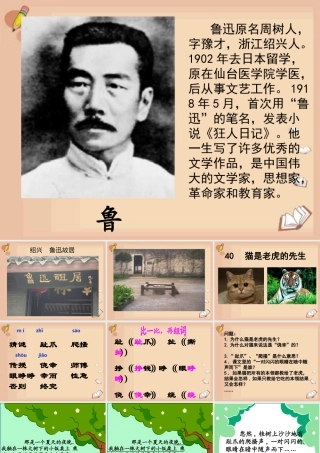 秋三年级语文上册《猫是老虎的先生》课件4 沪教版-沪教版小学三年级上册语文课件