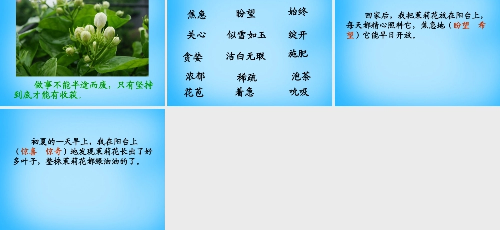 秋三年级语文上册《茉莉花》课件1 沪教版-沪教版小学三年级上册语文课件