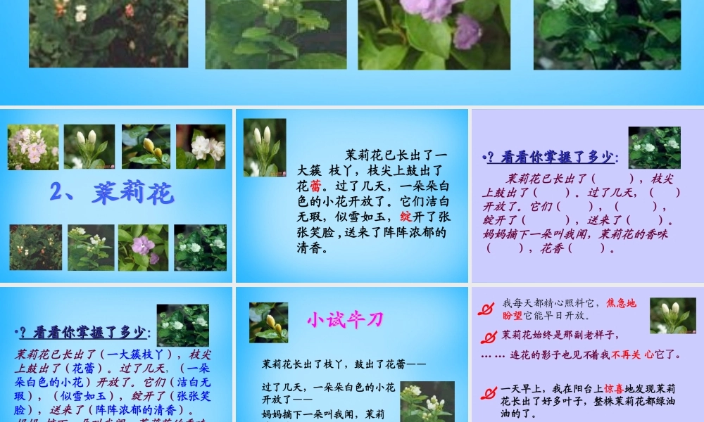 秋三年级语文上册《茉莉花》课件2 沪教版-沪教版小学三年级上册语文课件
