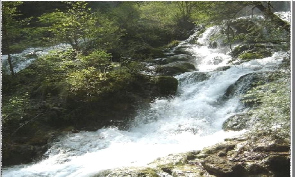 秋二年级语文上册《溪水和池水》课件2 沪教版-沪教版小学二年级上册语文课件