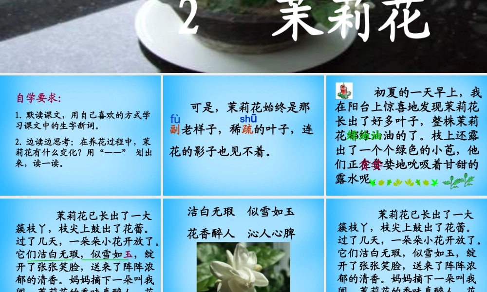 秋三年级语文上册《茉莉花》课件3 沪教版-沪教版小学三年级上册语文课件