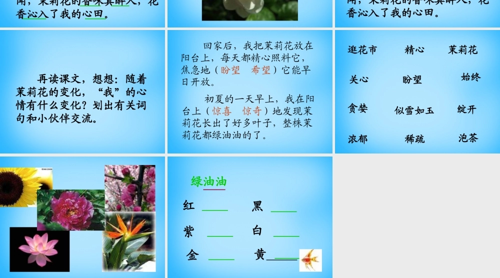 秋三年级语文上册《茉莉花》课件3 沪教版-沪教版小学三年级上册语文课件