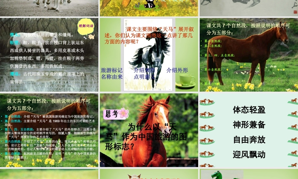 秋五年级语文上册《天马》课件1 北师大版-北师大版小学五年级上册语文课件