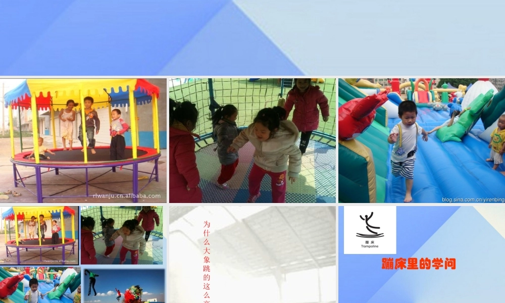 秋五年级科学上册 6.2《蹦床里的学问》课件2 大象版-大象版小学五年级上册自然科学课件