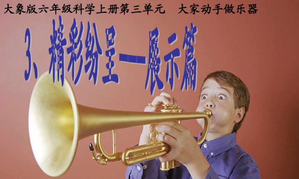 秋六年级科学上册 3.3《精彩纷呈--展示篇》课件1 大象版-大象版小学六年级上册自然科学课件