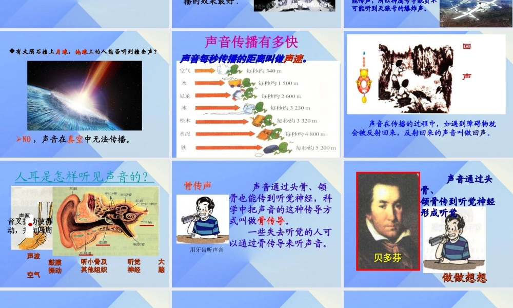 秋六年级科学上册 3.3《精彩纷呈--展示篇》课件1 大象版-大象版小学六年级上册自然科学课件