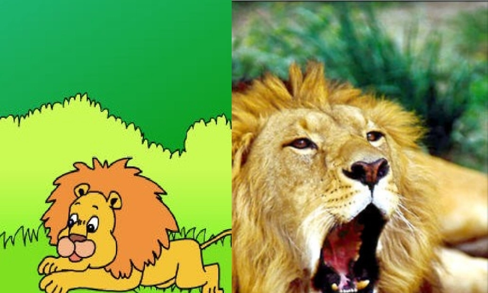 秋二年级语文上册《小狮子》课件1 北师大版-北师大版小学二年级上册语文课件