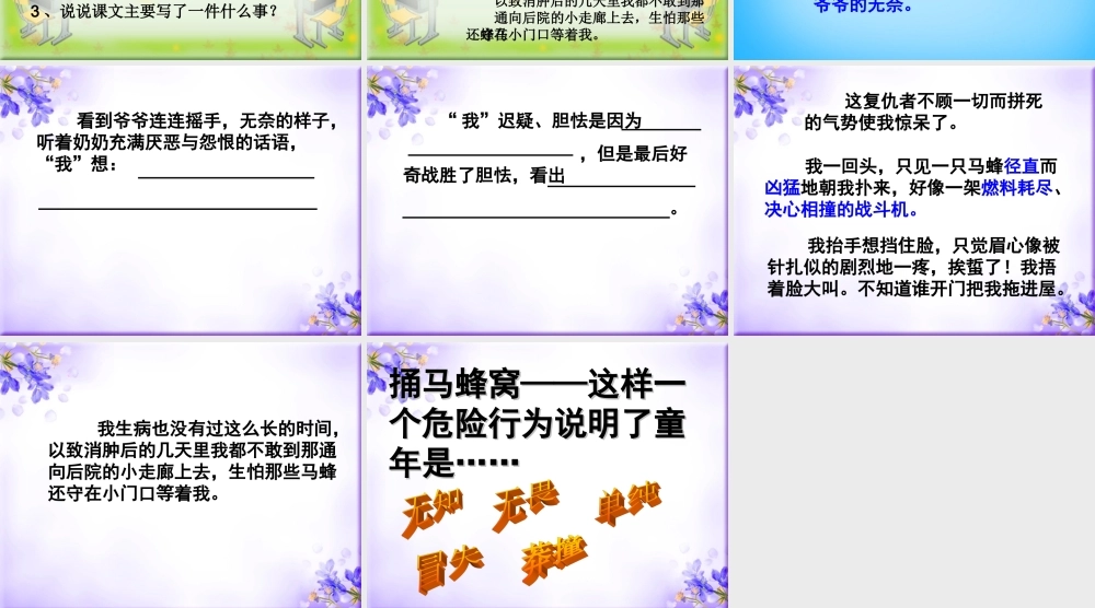 秋五年级语文上册《捅马蜂窝节选》课件1 沪教版-沪教版小学五年级上册语文课件