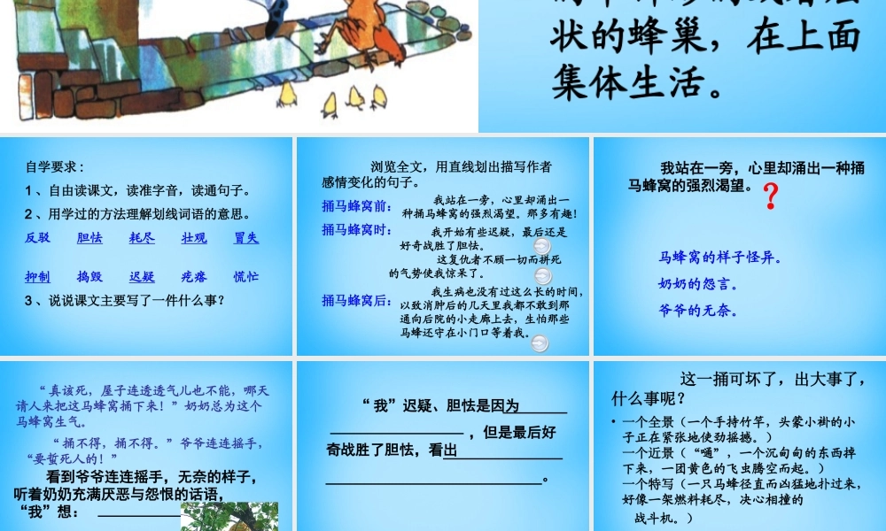 秋五年级语文上册《捅马蜂窝节选》课件2 沪教版-沪教版小学五年级上册语文课件