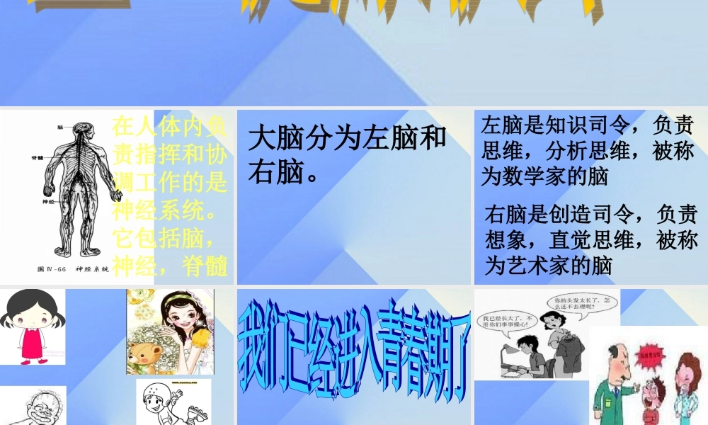 秋六年级科学上册 4.2《登上健康快车》课件2 大象版-大象版小学六年级上册自然科学课件