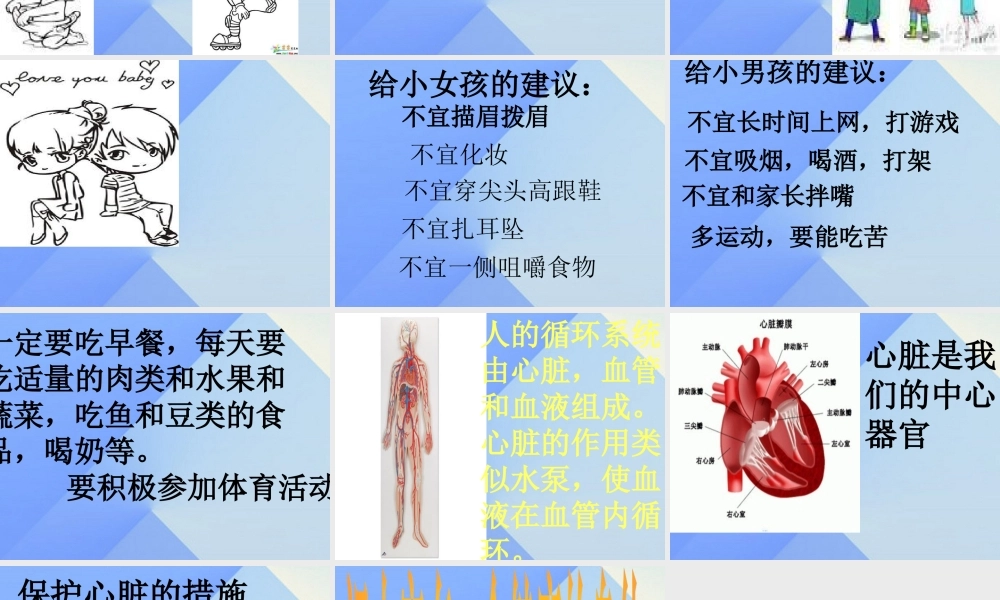 秋六年级科学上册 4.2《登上健康快车》课件2 大象版-大象版小学六年级上册自然科学课件