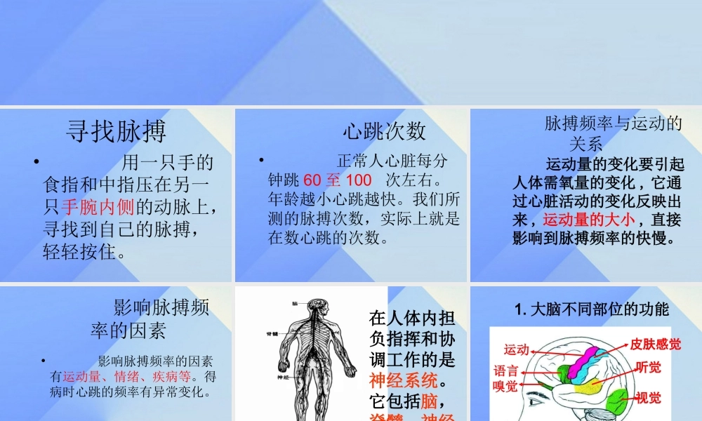 秋六年级科学上册 4.2《登上健康快车》课件3 大象版-大象版小学六年级上册自然科学课件