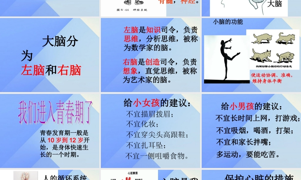 秋六年级科学上册 4.2《登上健康快车》课件3 大象版-大象版小学六年级上册自然科学课件
