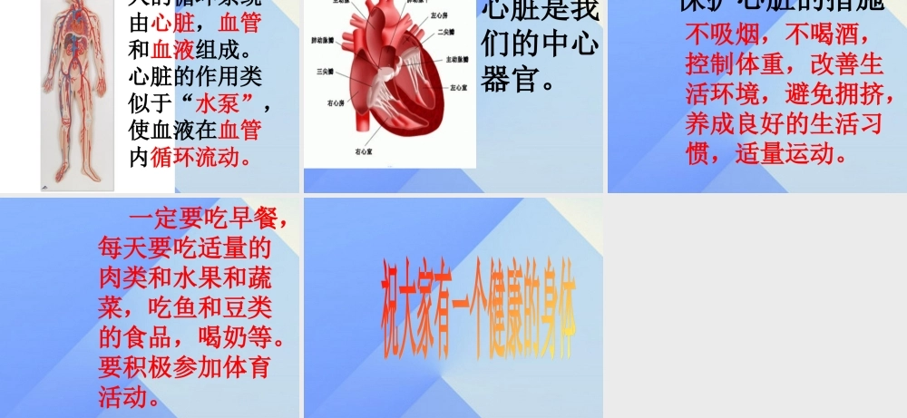 秋六年级科学上册 4.2《登上健康快车》课件3 大象版-大象版小学六年级上册自然科学课件