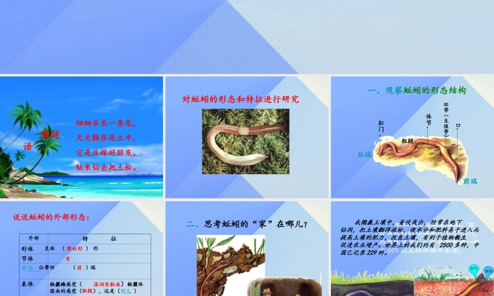 秋六年级科学上册 5.1《案例分析 对蚯蚓的研究》课件1 大象版-大象版小学六年级上册自然科学课件