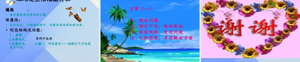 秋六年级科学上册 5.1《案例分析 对蚯蚓的研究》课件1 大象版-大象版小学六年级上册自然科学课件