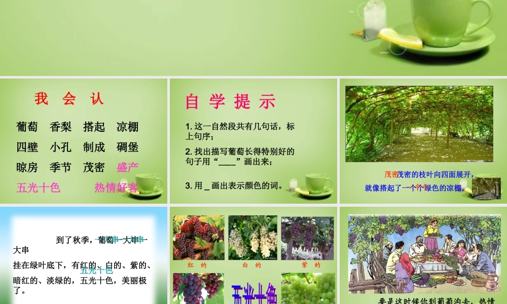 秋三年级语文上册《葡萄沟》课件4 北师大版-北师大版小学三年级上册语文课件