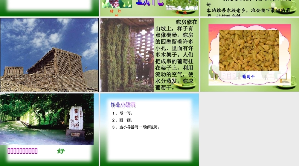 秋三年级语文上册《葡萄沟》课件4 北师大版-北师大版小学三年级上册语文课件