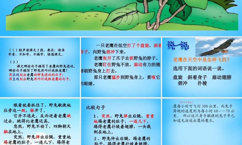 秋二年级语文上册《野兔》课件1 沪教版-沪教版小学二年级上册语文课件