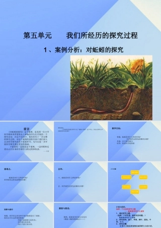 秋六年级科学上册 5.1《案例分析 对蚯蚓的研究》课件2 大象版-大象版小学六年级上册自然科学课件