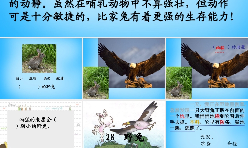 秋二年级语文上册《野兔》课件2 沪教版-沪教版小学二年级上册语文课件