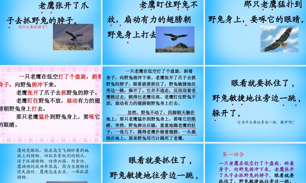 秋二年级语文上册《野兔》课件2 沪教版-沪教版小学二年级上册语文课件