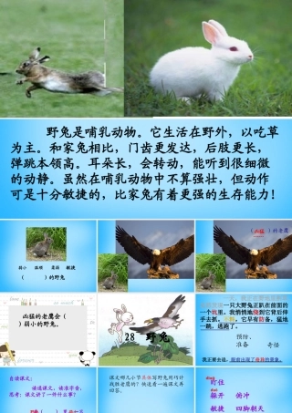 秋二年级语文上册《野兔》课件2 沪教版-沪教版小学二年级上册语文课件