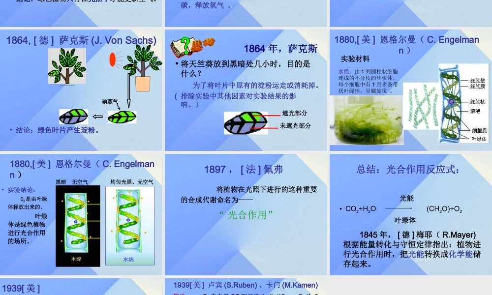 秋五年级科学上册 7.1《光合作用是怎样发现的》课件1 大象版-大象版小学五年级上册自然科学课件