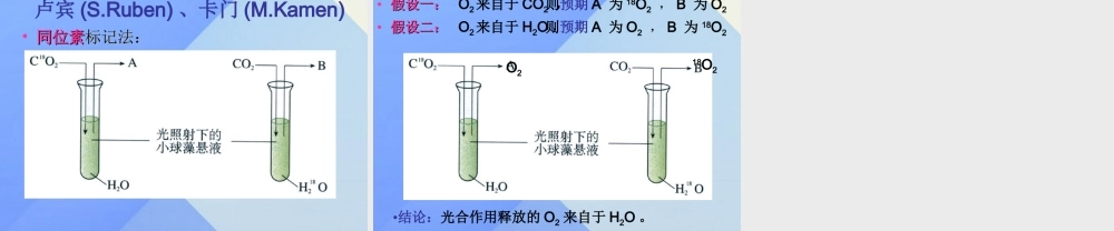 秋五年级科学上册 7.1《光合作用是怎样发现的》课件1 大象版-大象版小学五年级上册自然科学课件