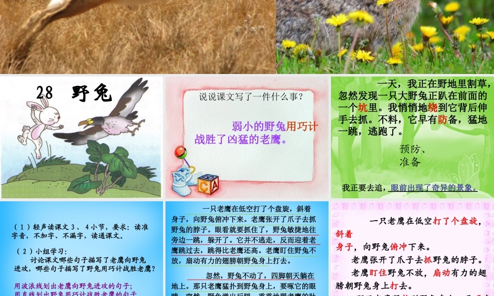 秋二年级语文上册《野兔》课件3 沪教版-沪教版小学二年级上册语文课件