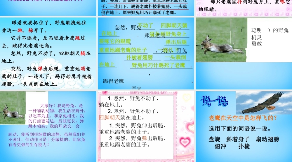 秋二年级语文上册《野兔》课件3 沪教版-沪教版小学二年级上册语文课件