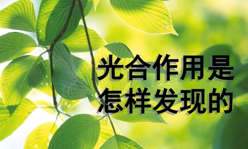 秋五年级科学上册 7.1《光合作用是怎样发现的》课件2 大象版-大象版小学五年级上册自然科学课件