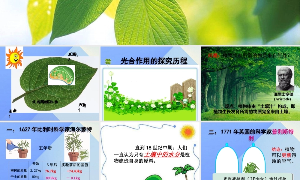 秋五年级科学上册 7.1《光合作用是怎样发现的》课件2 大象版-大象版小学五年级上册自然科学课件