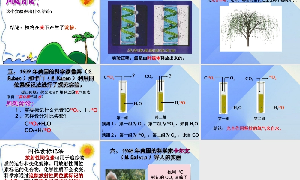 秋五年级科学上册 7.1《光合作用是怎样发现的》课件2 大象版-大象版小学五年级上册自然科学课件