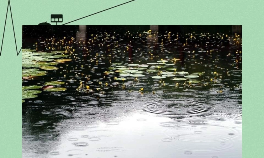 秋二年级语文上册《雨后》课件3 冀教版-冀教版小学二年级上册语文课件