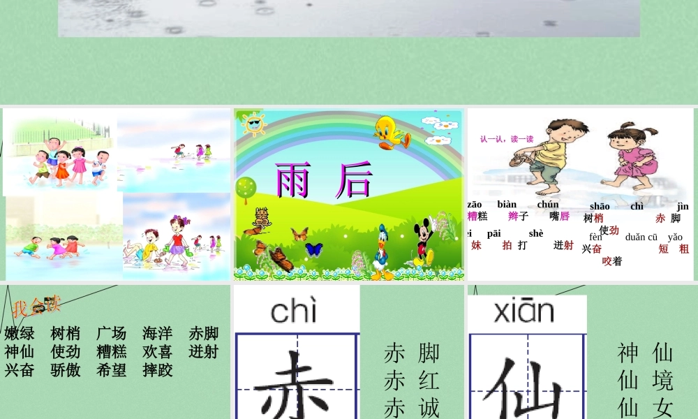 秋二年级语文上册《雨后》课件3 冀教版-冀教版小学二年级上册语文课件