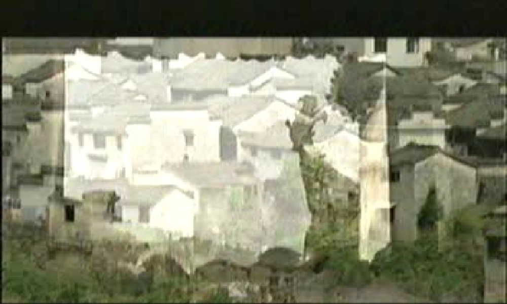 秋五年级科学上册 7.1《光合作用是怎样发现的》课件3 大象版-大象版小学五年级上册自然科学课件