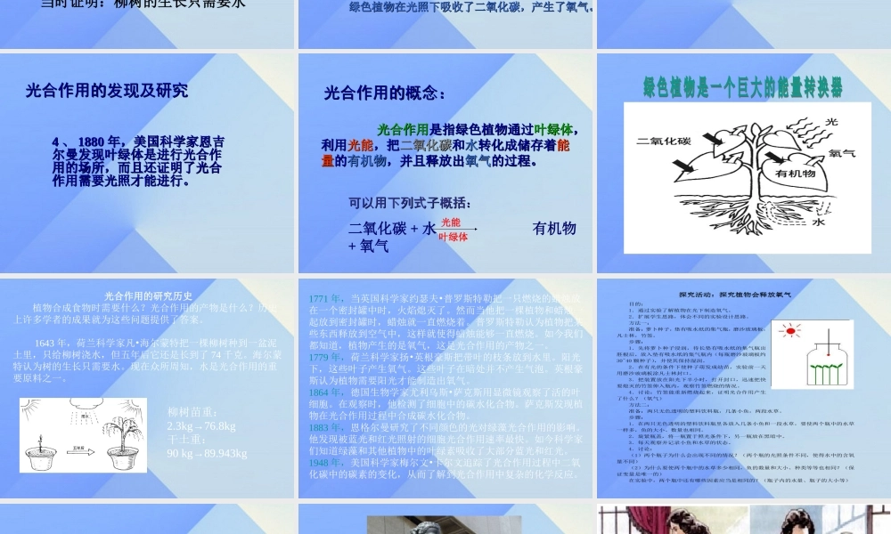 秋五年级科学上册 7.1《光合作用是怎样发现的》课件3 大象版-大象版小学五年级上册自然科学课件