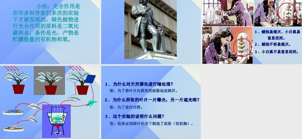 秋五年级科学上册 7.1《光合作用是怎样发现的》课件3 大象版-大象版小学五年级上册自然科学课件